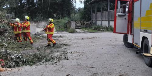 Brand Grüngut