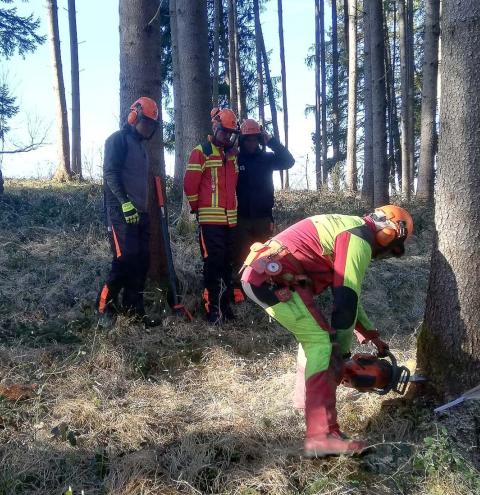 Grundausbildung an der Kettensäge – Lehrgangsauftakt der heimischen Feuerwehren