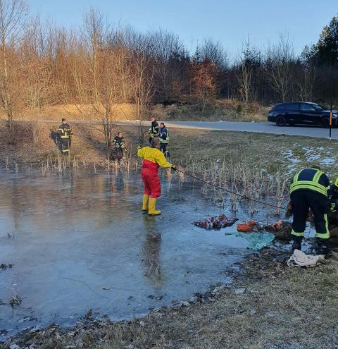 Feuerwehr hilft Pferd in Nöten