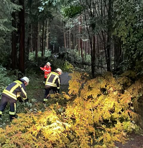 FF Traunwalchen - Sturmbruch