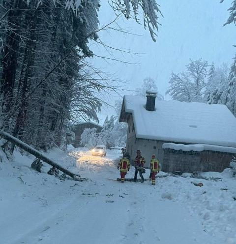 Inzell - Im Ortsteil Schmelz war ein Baum über die Fahrbahn gefallen