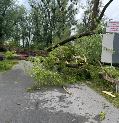 Zufahrt und damit Rettungsweg in Übersee zum Chiemseestrand durch umgestürzten Baum blockiert